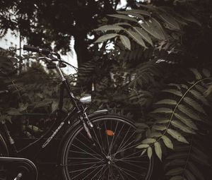 Preview wallpaper bicycle, branches, leaves, trees, dark