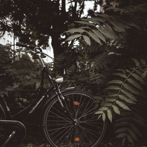 Preview wallpaper bicycle, branches, leaves, trees, dark