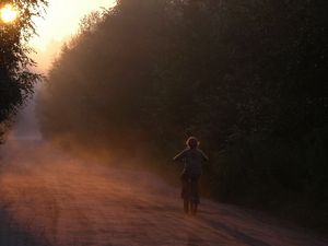 Preview wallpaper bicycle, child, little girl, riding, road, forest