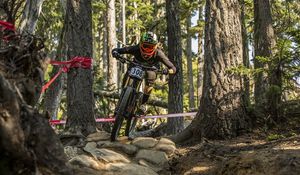 Preview wallpaper bicycle, cyclist, sport, forest