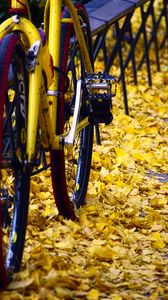 Preview wallpaper bicycle, fallen leaves, autumn