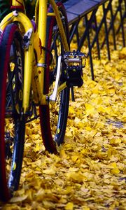 Preview wallpaper bicycle, fallen leaves, autumn