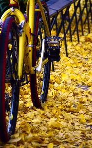 Preview wallpaper bicycle, fallen leaves, autumn