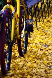 Preview wallpaper bicycle, fallen leaves, autumn