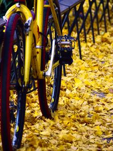 Preview wallpaper bicycle, fallen leaves, autumn