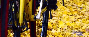 Preview wallpaper bicycle, fallen leaves, autumn