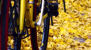 Preview wallpaper bicycle, fallen leaves, autumn