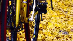 Preview wallpaper bicycle, fallen leaves, autumn