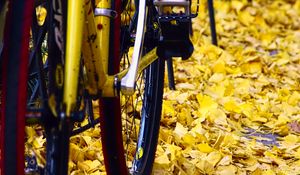 Preview wallpaper bicycle, fallen leaves, autumn