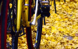 Preview wallpaper bicycle, fallen leaves, autumn
