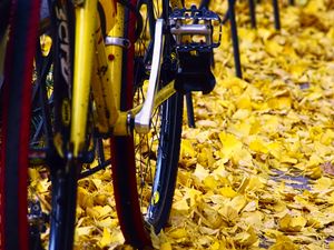 Preview wallpaper bicycle, fallen leaves, autumn