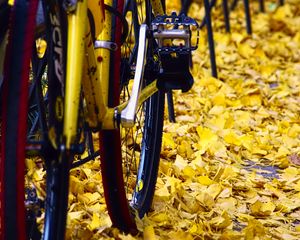 Preview wallpaper bicycle, fallen leaves, autumn