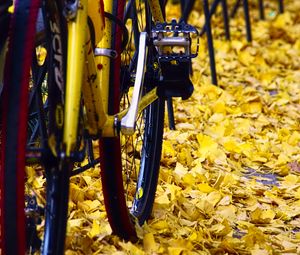 Preview wallpaper bicycle, fallen leaves, autumn