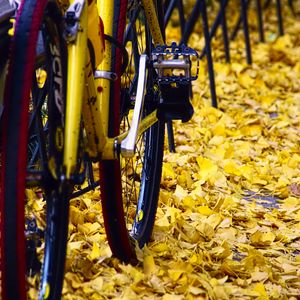 Preview wallpaper bicycle, fallen leaves, autumn