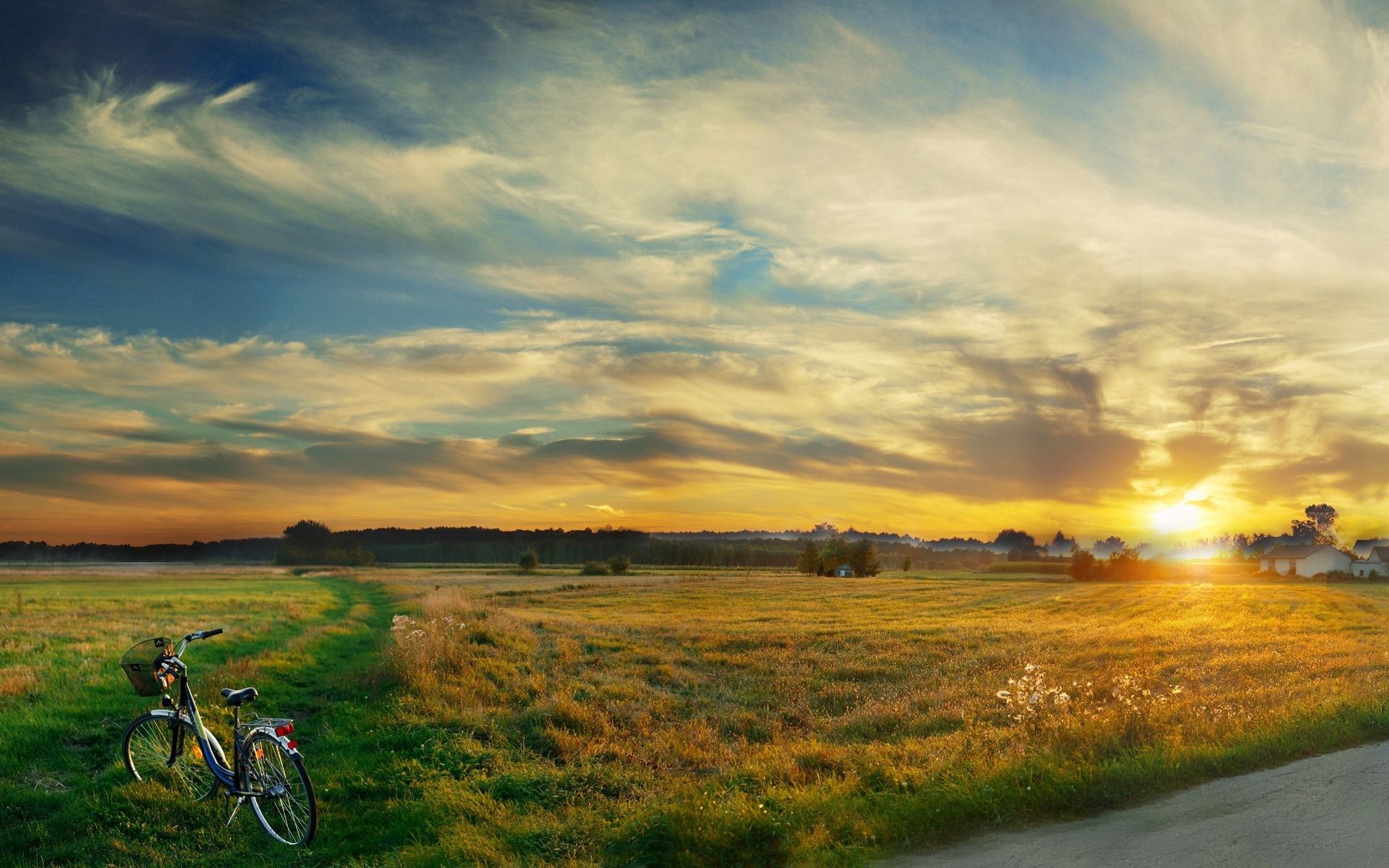 1920x1200 Wallpaper bicycle, field, clouds, silence, evening, decline, sky