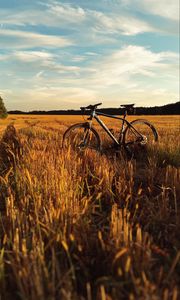 Preview wallpaper bicycle, field, grass, horizon, sky