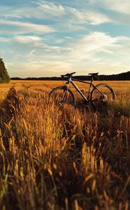 Preview wallpaper bicycle, field, grass, horizon, sky