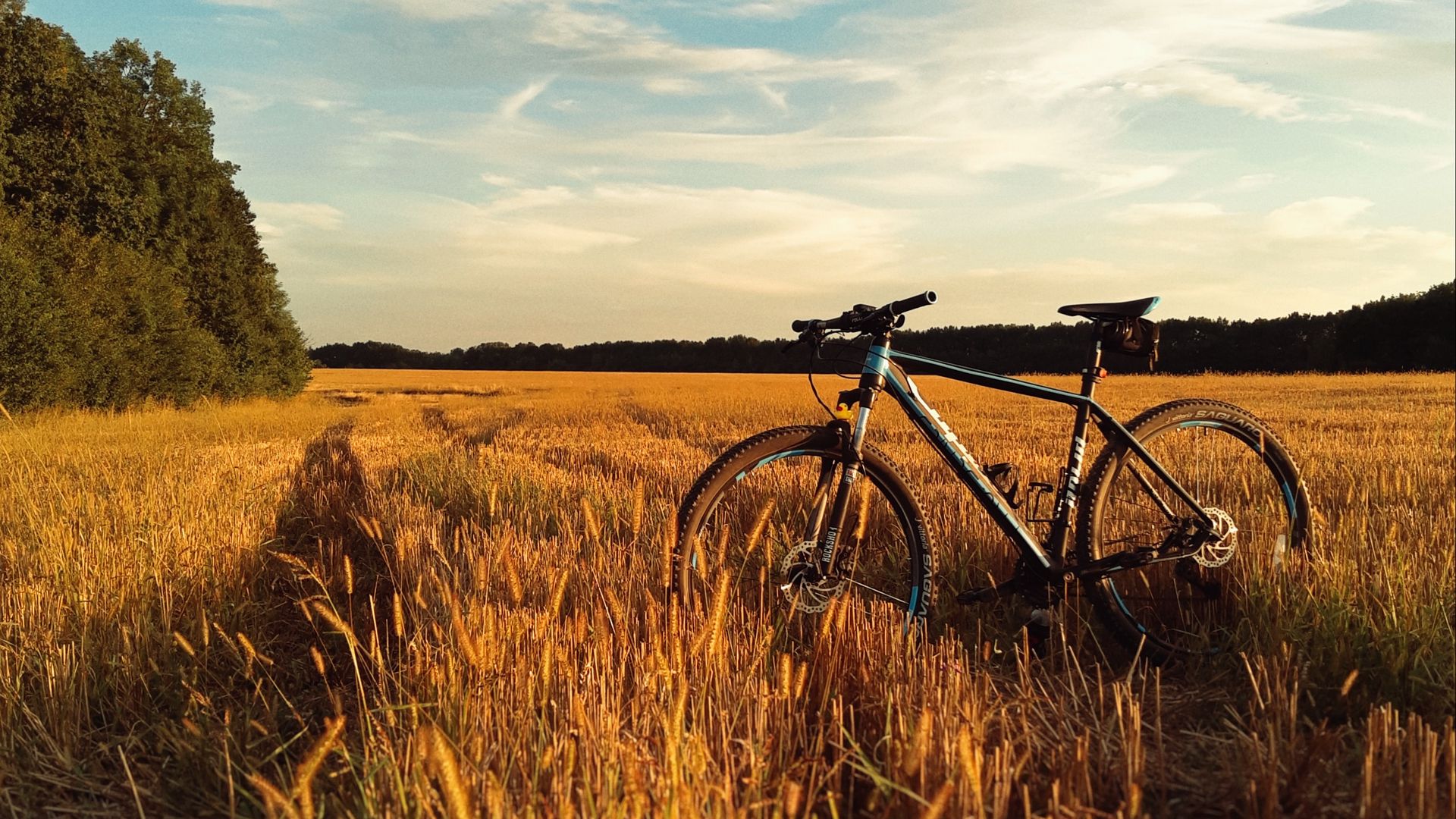 Download Wallpaper 1920x1080 Bicycle, Field, Grass, Horizon, Sky Full 