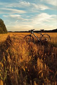 Preview wallpaper bicycle, field, grass, horizon, sky