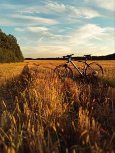 Preview wallpaper bicycle, field, grass, horizon, sky