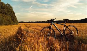 Preview wallpaper bicycle, field, grass, horizon, sky