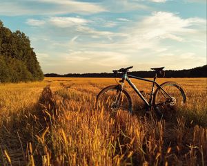 Preview wallpaper bicycle, field, grass, horizon, sky