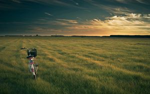 Preview wallpaper bicycle, field, grass, evening