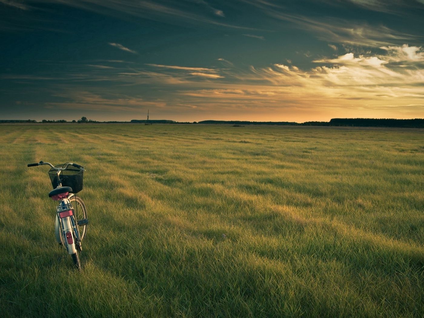 1400x1050 Wallpaper bicycle, field, grass, evening