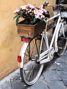 Preview wallpaper bicycle, flowers, basket