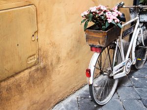 Preview wallpaper bicycle, flowers, basket