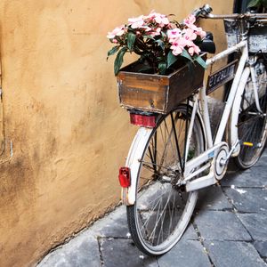 Preview wallpaper bicycle, flowers, basket