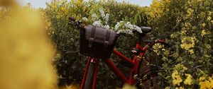Preview wallpaper bicycle, flowers, field