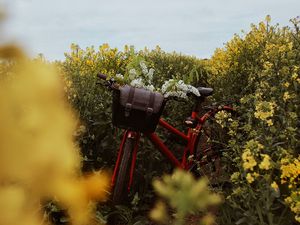 Preview wallpaper bicycle, flowers, field