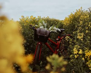 Preview wallpaper bicycle, flowers, field