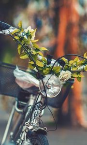 Preview wallpaper bicycle, flowers, headlight