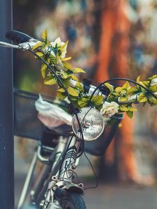 Preview wallpaper bicycle, flowers, headlight