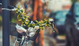 Preview wallpaper bicycle, flowers, headlight