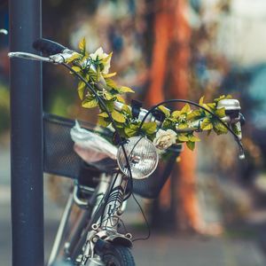Preview wallpaper bicycle, flowers, headlight