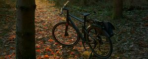 Preview wallpaper bicycle, forest, trees, leaves, dry, trail, nature