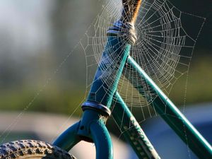 Preview wallpaper bicycle, frame, wheel, web