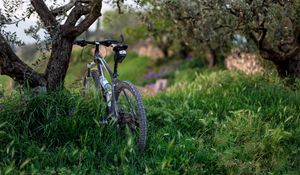 Preview wallpaper bicycle, grass, trees