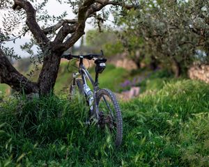 Preview wallpaper bicycle, grass, trees