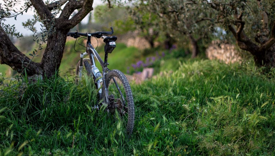 960x544 Wallpaper bicycle, grass, trees