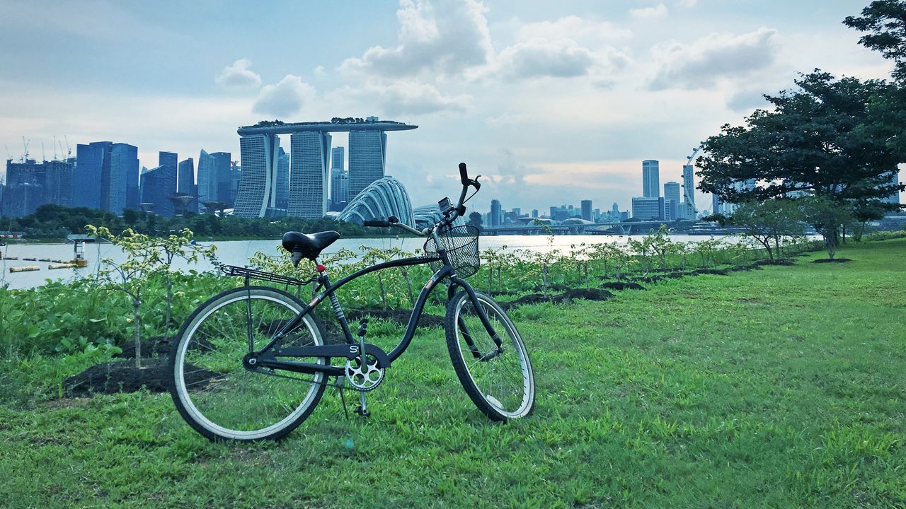 Wallpaper bicycle, landscape, city