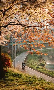 Preview wallpaper bicycle, man, helmet, road, trees