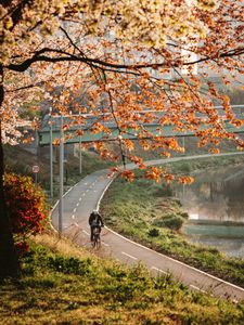 Preview wallpaper bicycle, man, helmet, road, trees