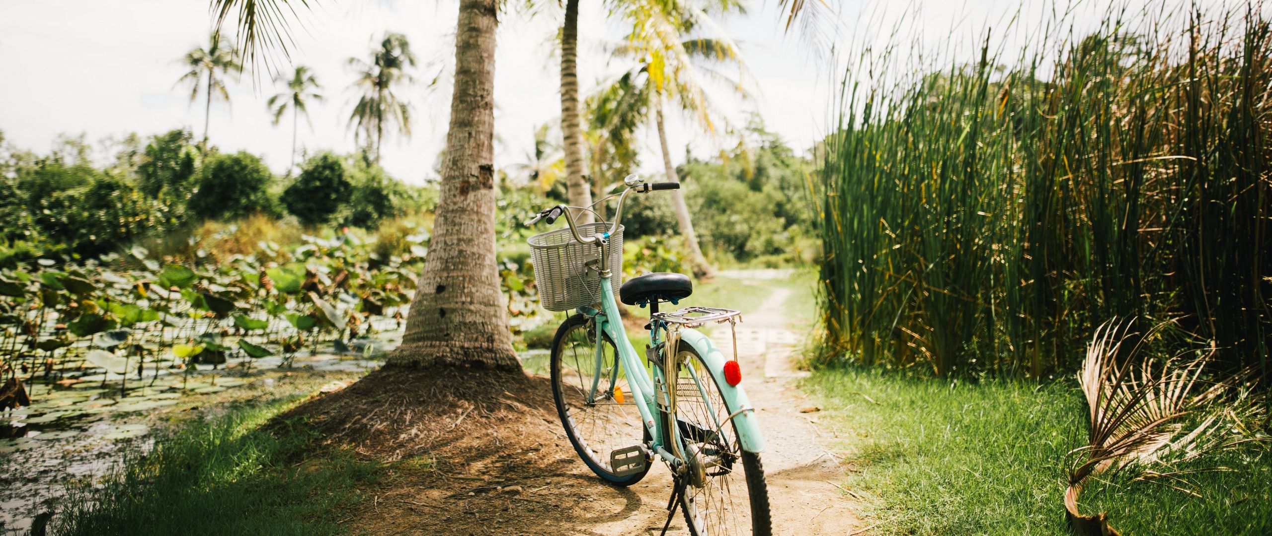 Download wallpaper 2560x1080 bicycle, palm trees, tropics, sunlight