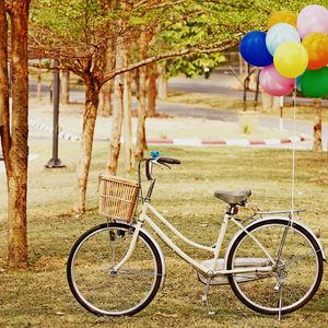 Preview wallpaper bicycle, park, balloons, grass