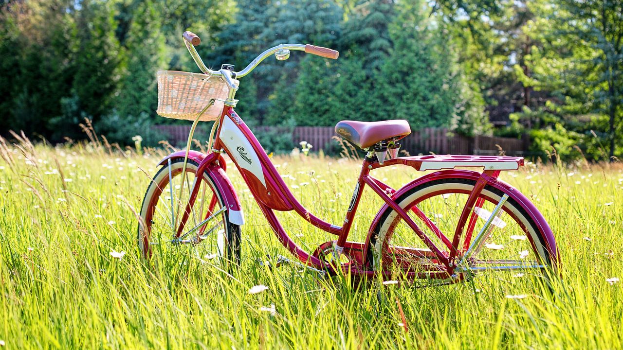 Wallpaper bicycle, summer, vintage, sunlight