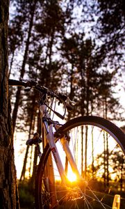 Preview wallpaper bicycle, sunlight, summer